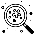 AdobeStock_452327850